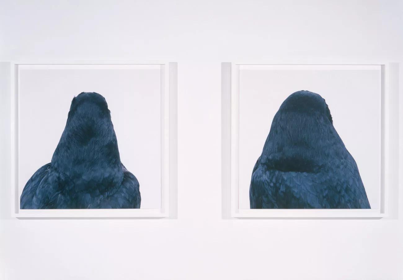 Image for exhibition 