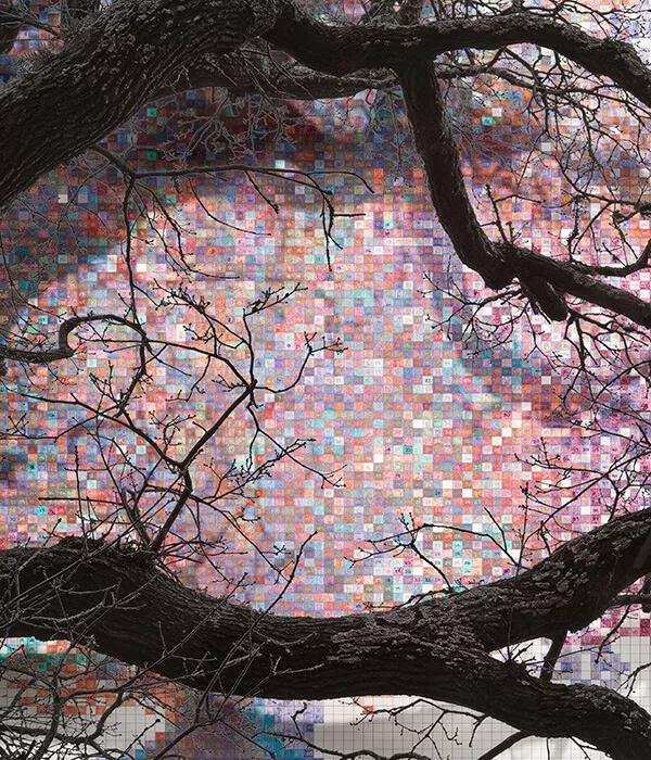 Thumbnail image for exhibition titled Numbers and Trees: London Series 2, Tree #5, Falcon Highwalk