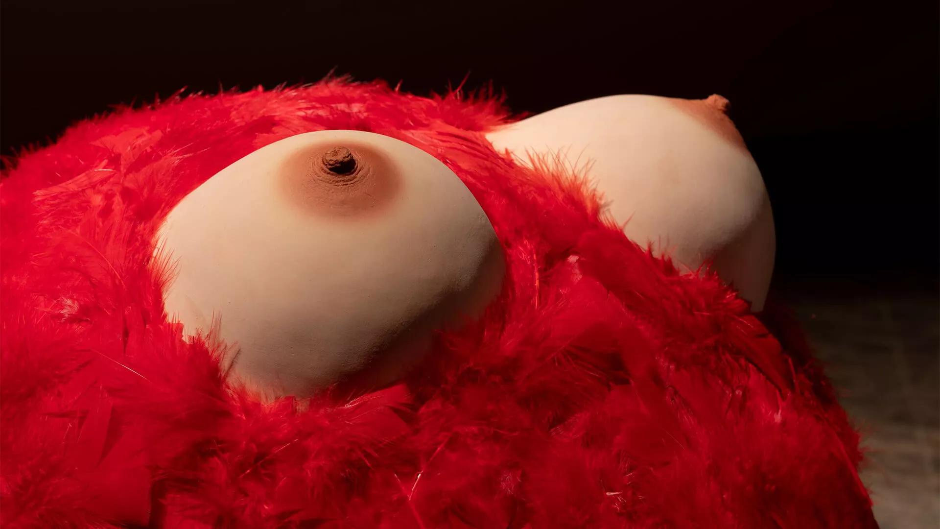 Image for exhibition 