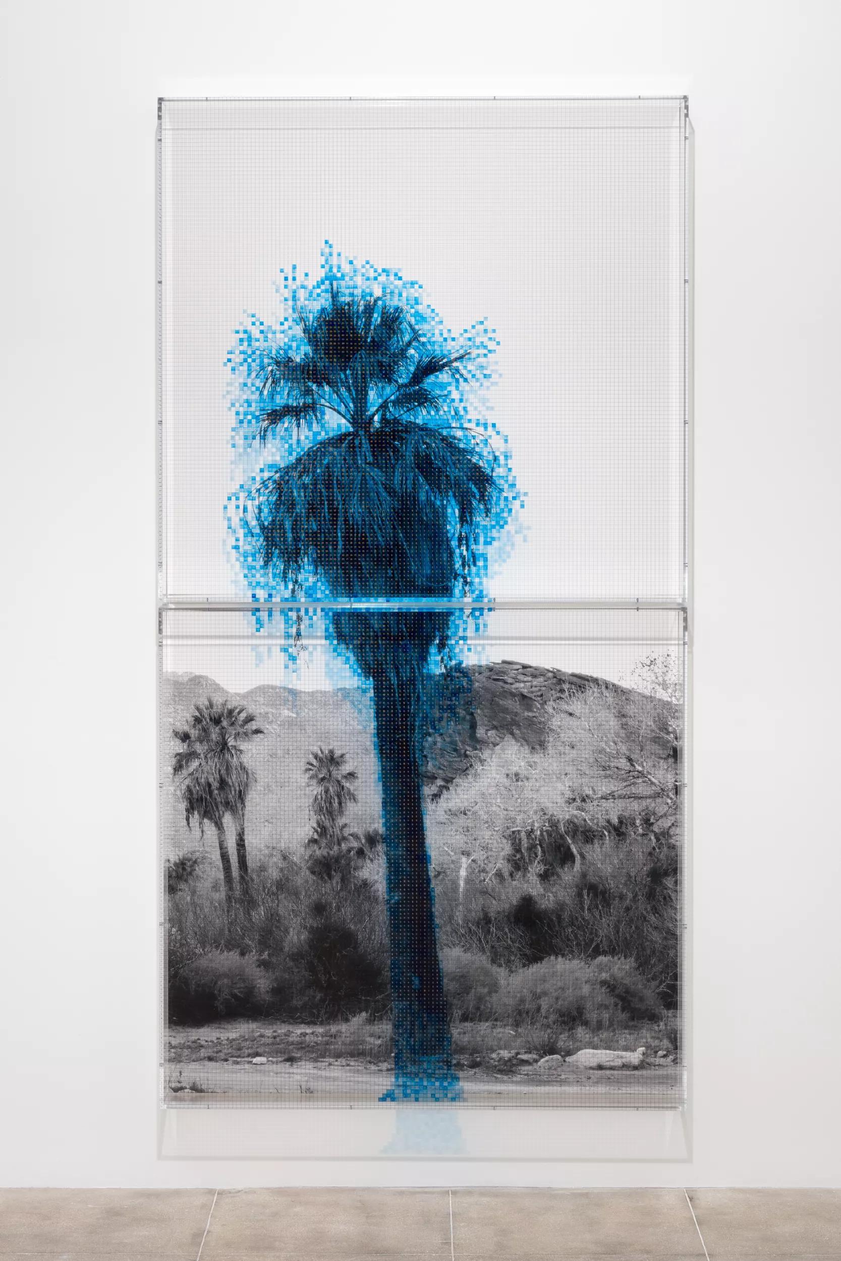 Image for exhibition 
