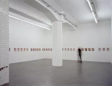 Installation view image for Installation views