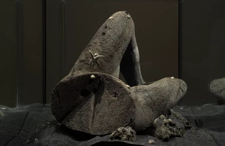 Thumbnail image for exhibition titled Pierre Huyghe<br>Chimeras