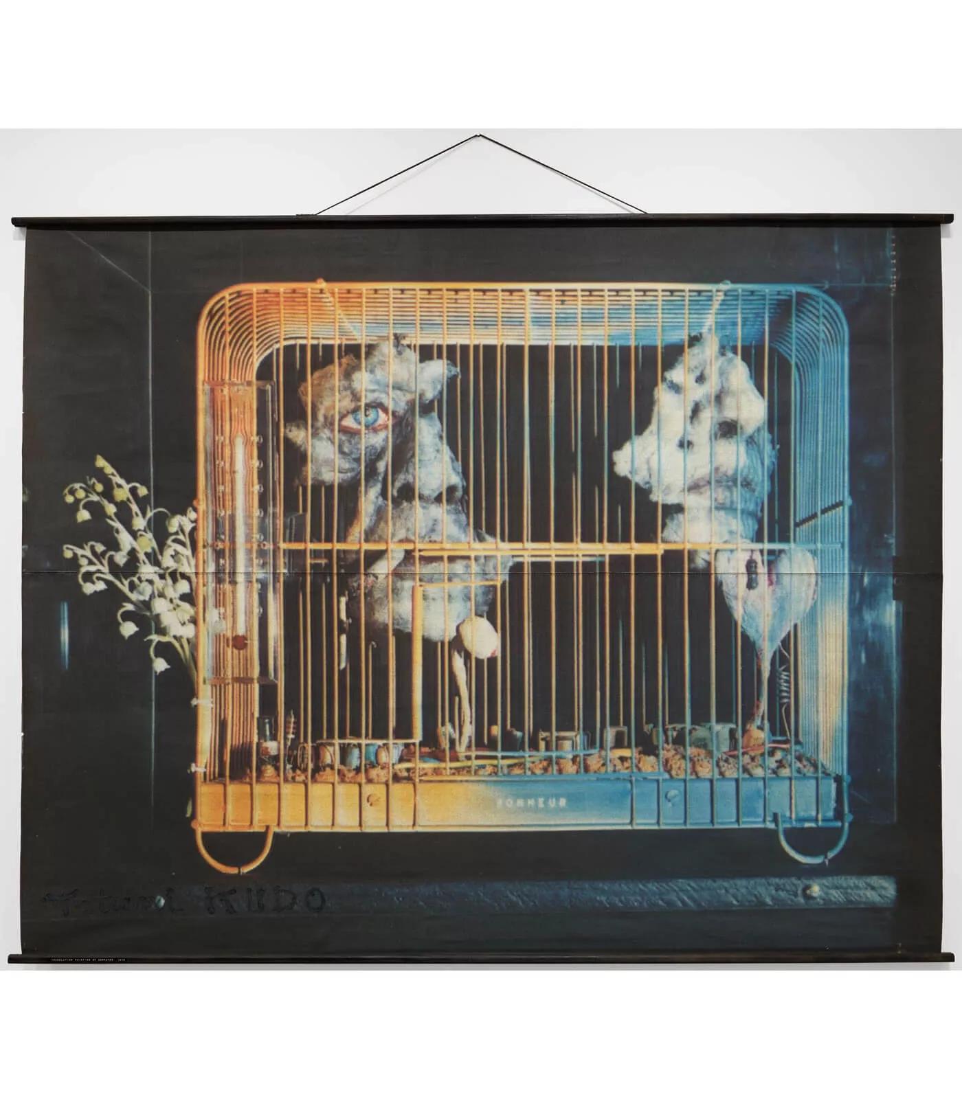 Image for exhibition titled Tetsumi Kudo