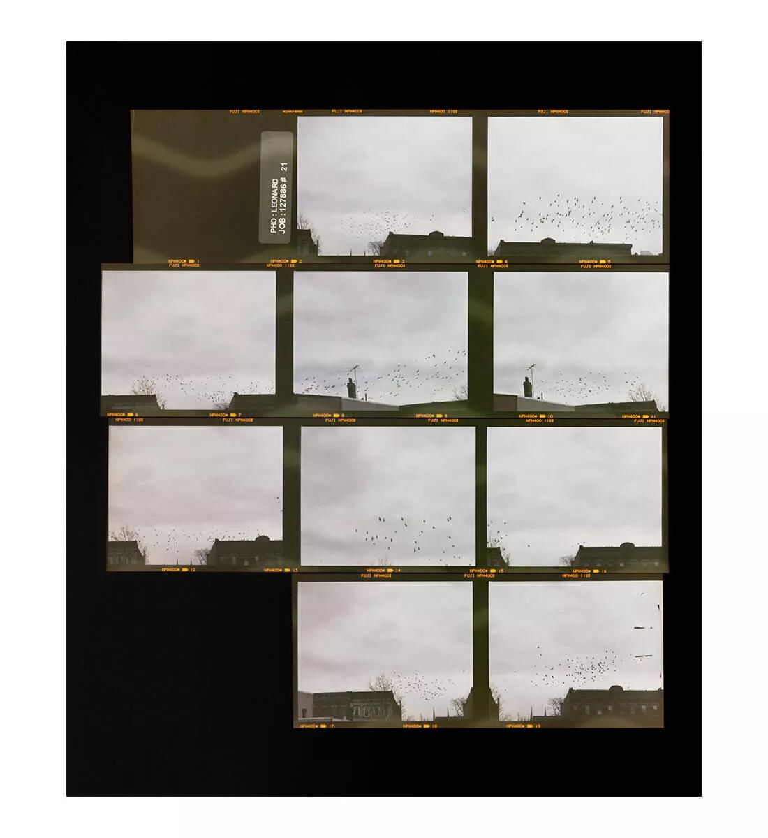 Image for exhibition 