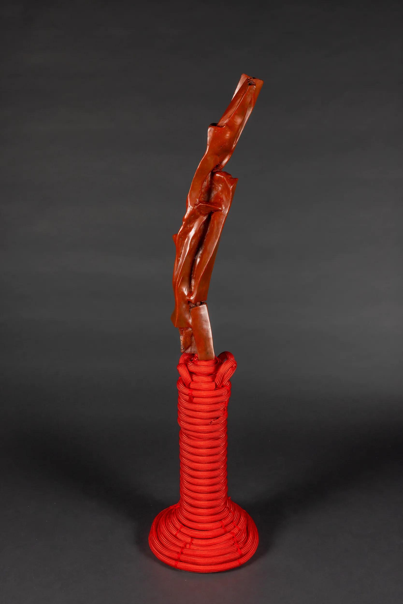 Image for exhibition titled Barbara Chase-Riboud