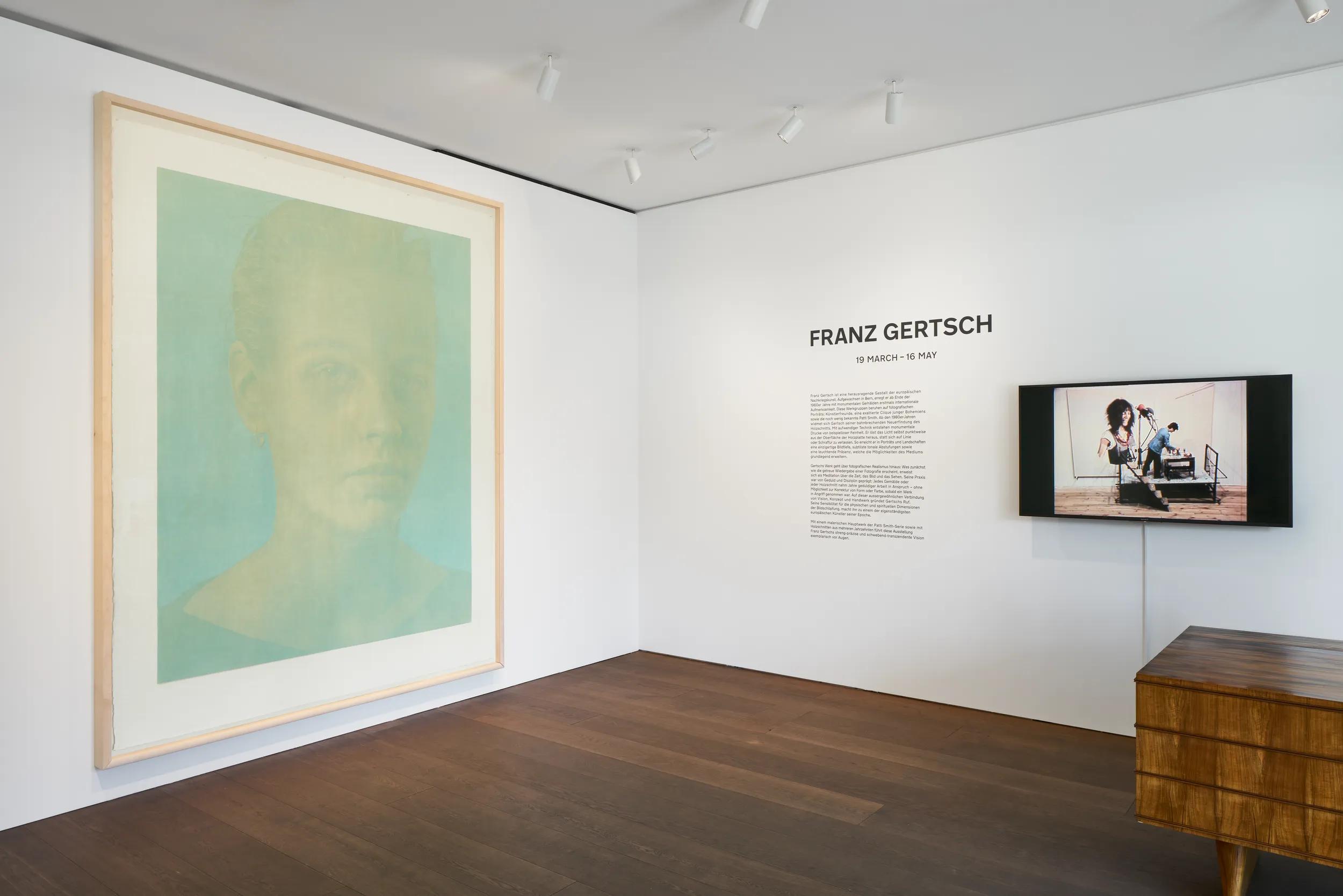 Installation view image for Installation View