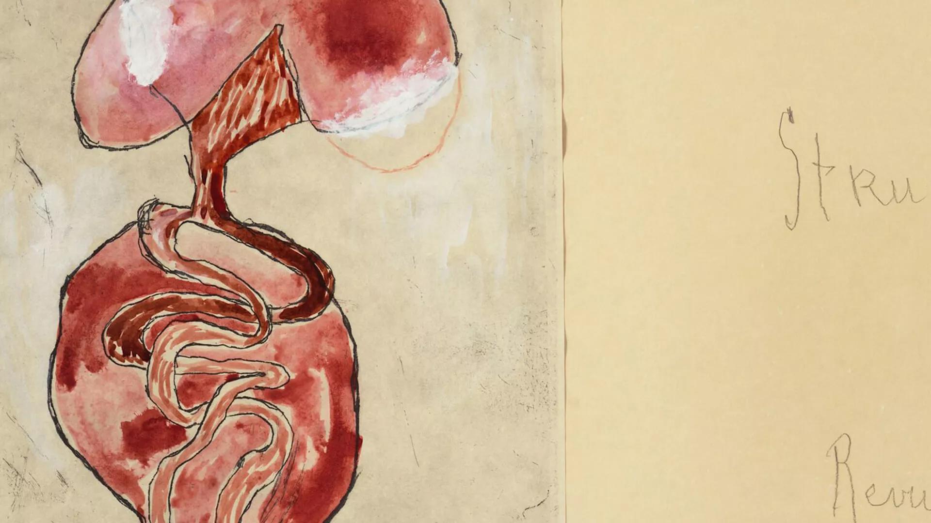 Image for exhibition 