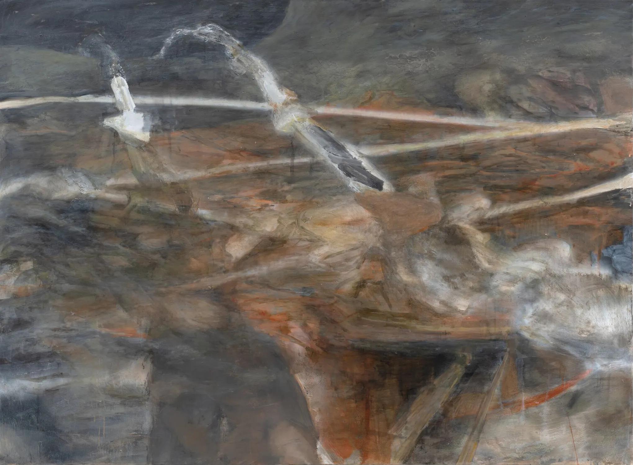 Image for exhibition titled Carlotta Amanzi