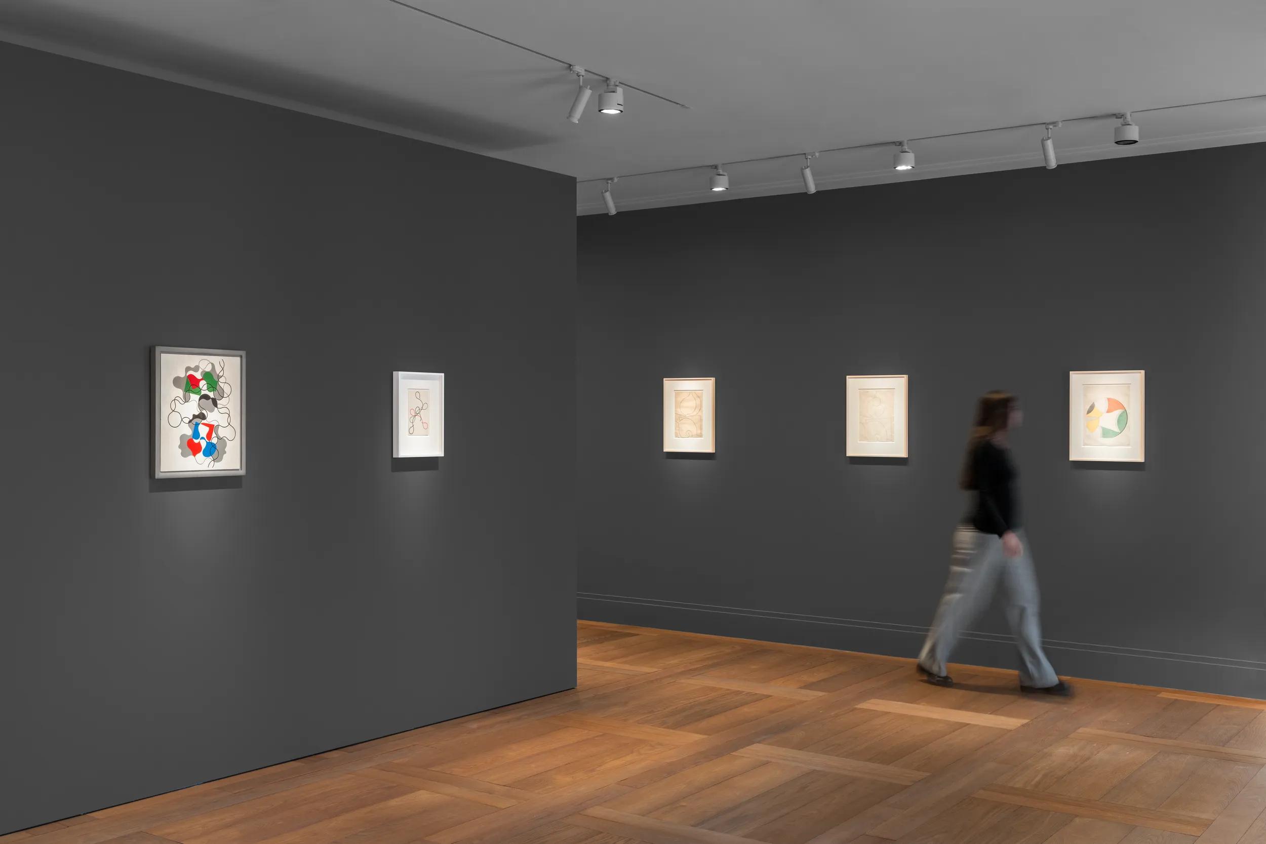 Installation view image for INSTALLATION VIEWS