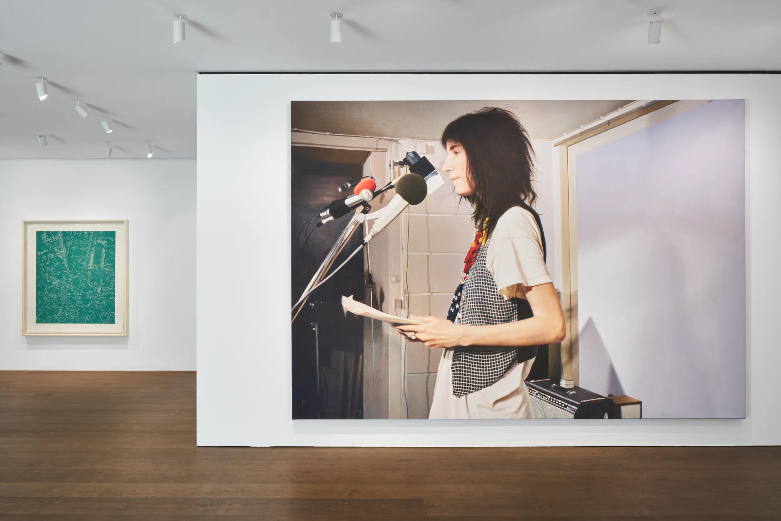 Installation view image for Installation View