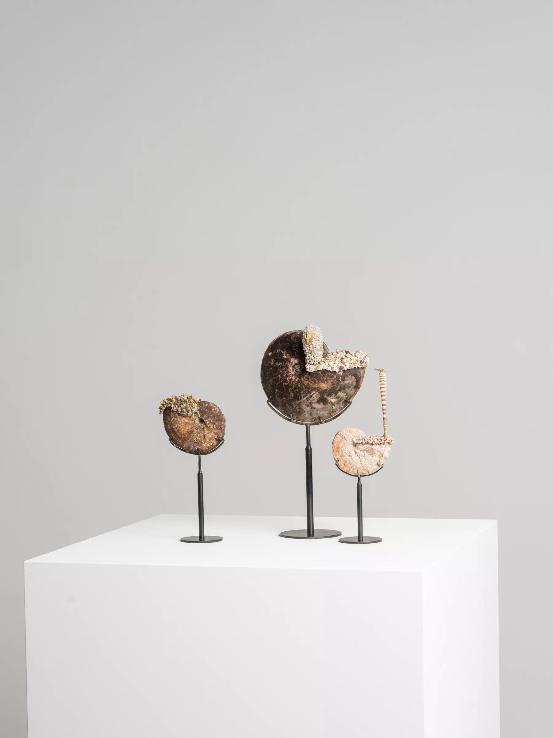 Image for exhibition titled Romilly Saumarez Smith  