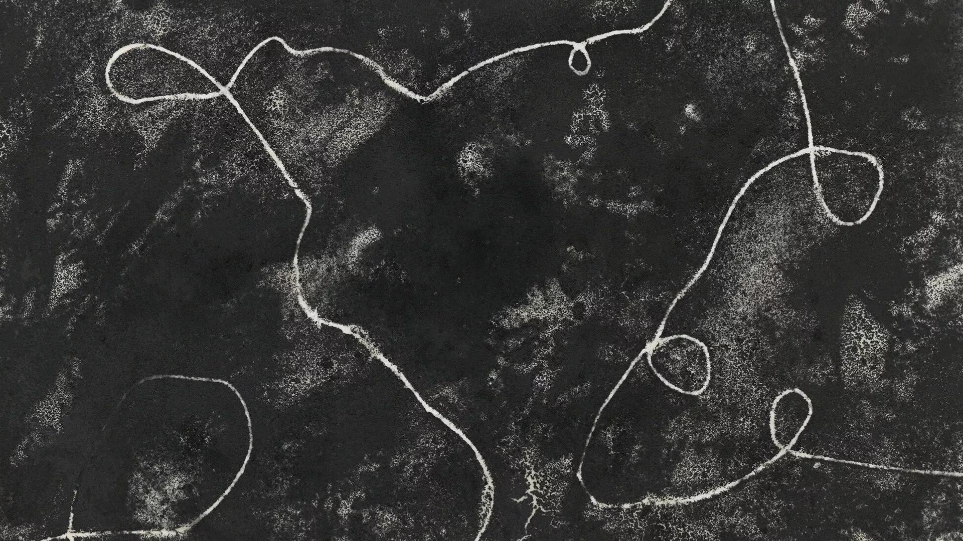 Image for exhibition 