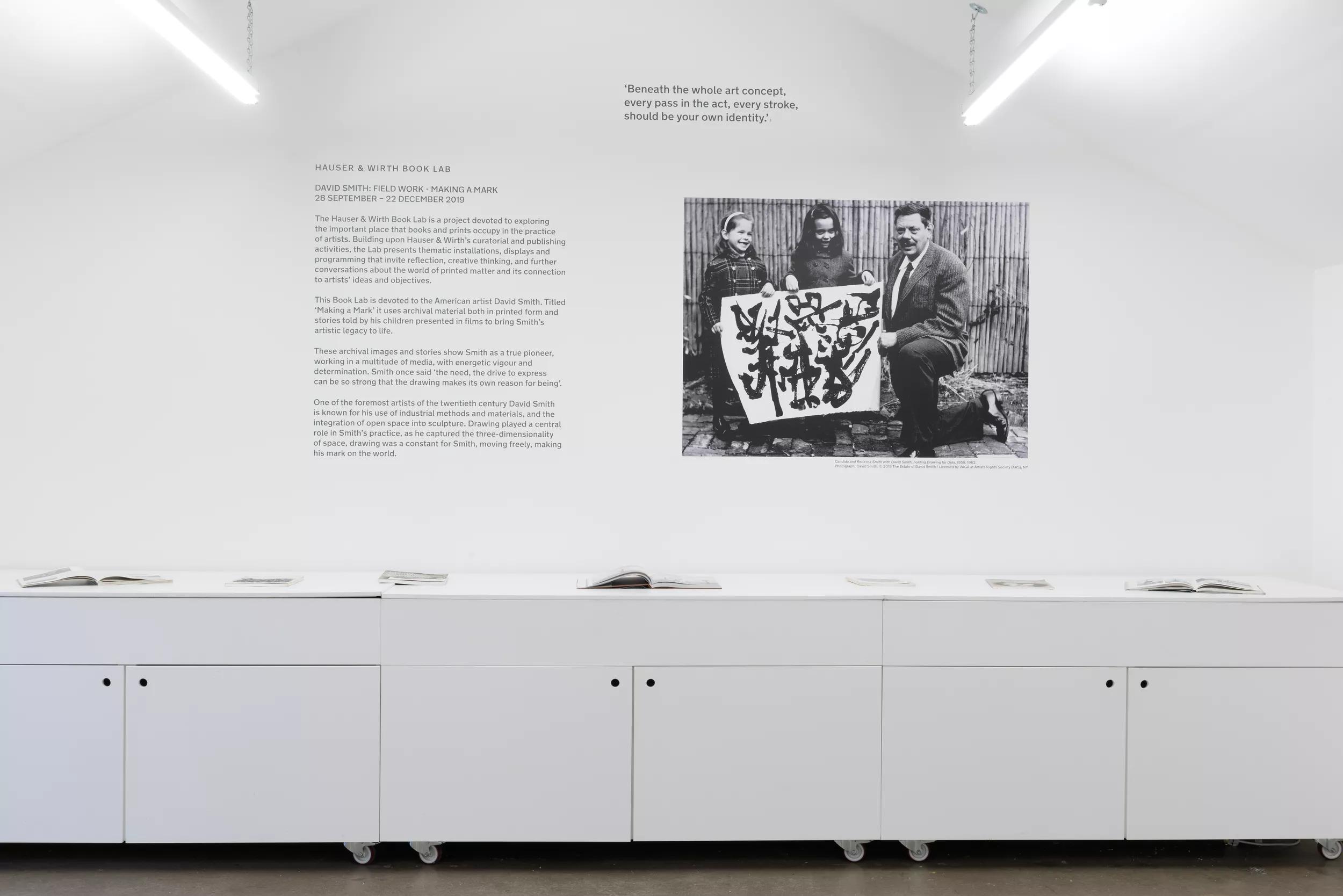 Installation view image for Installation views