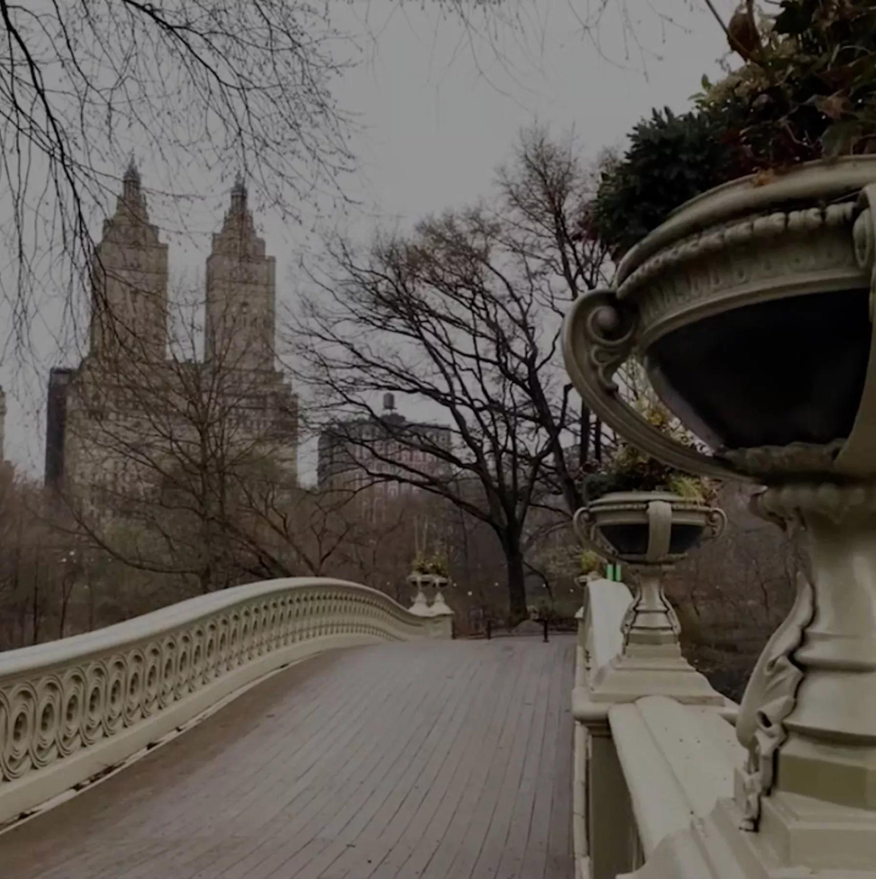 Hero image Ursula Hero titled From a Distance: Roberto Cuoghi’s artist films