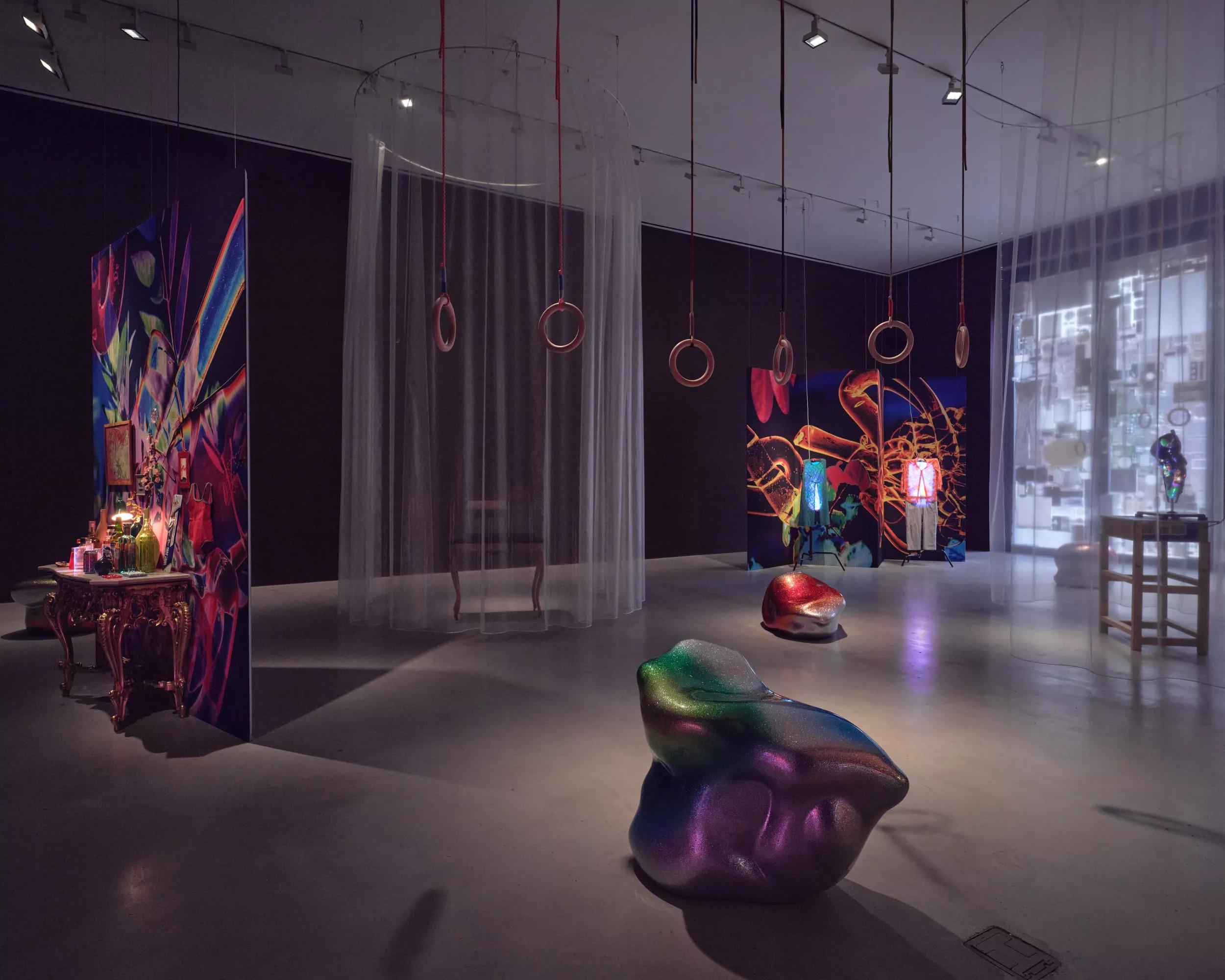 Image for PIPILOTTI RIST