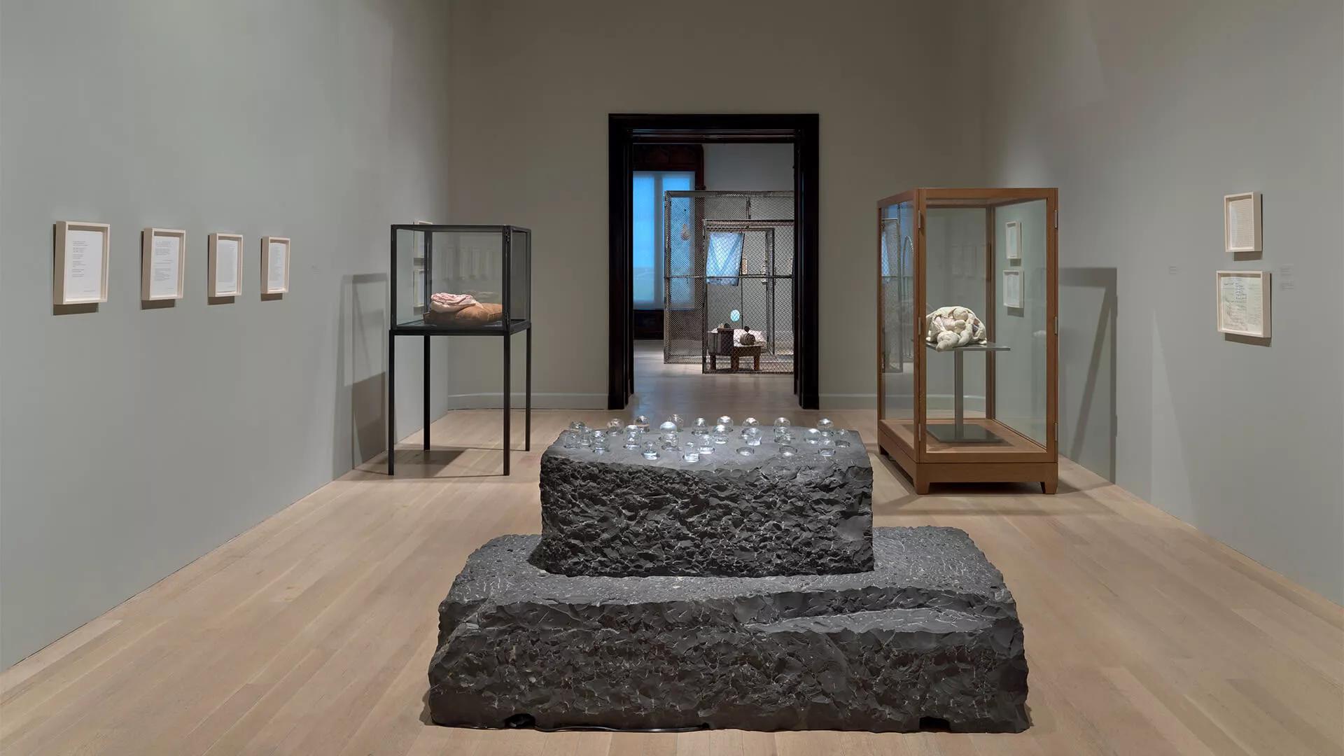 Image for exhibition titled Explore the exhibition