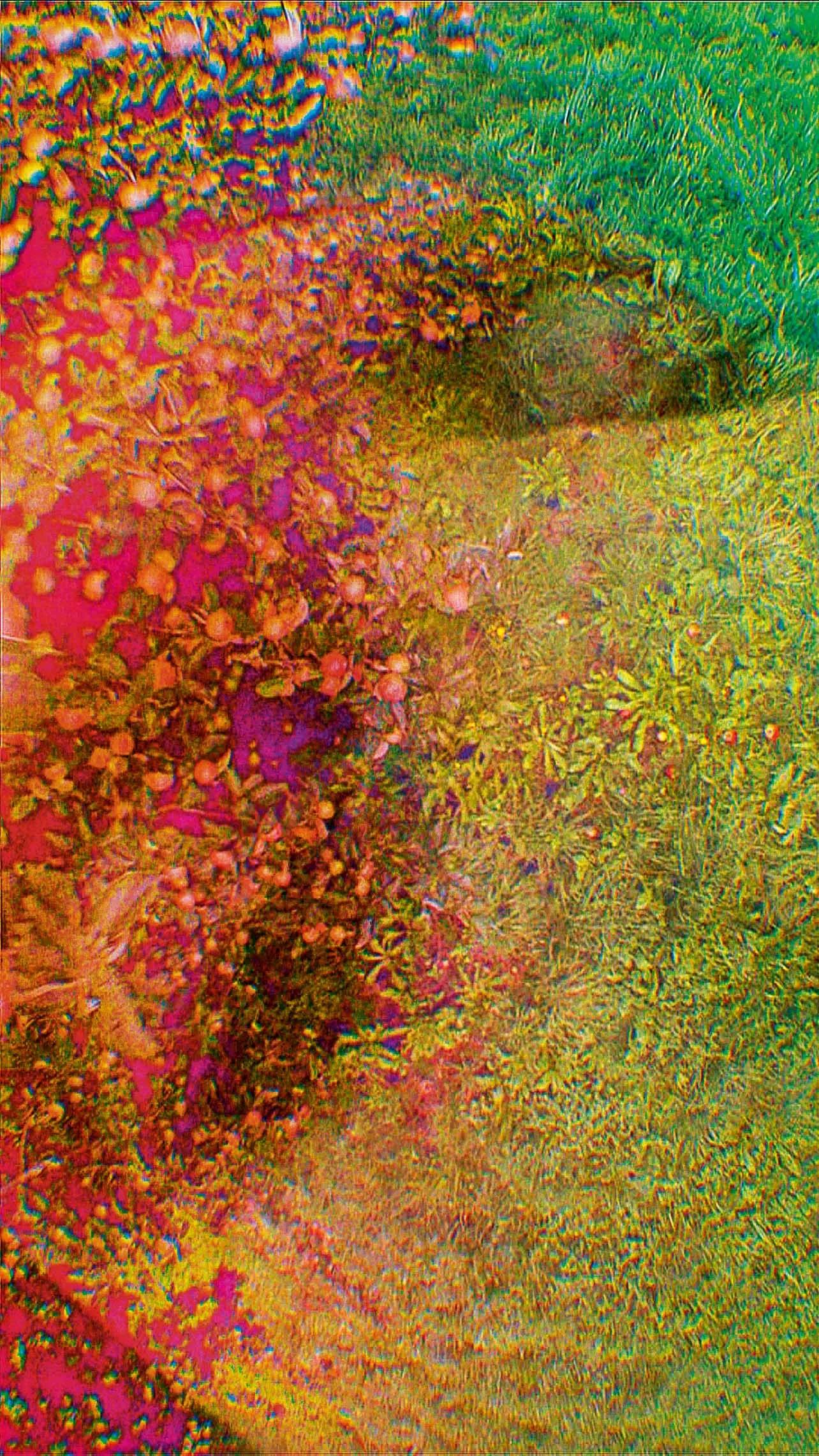 Image for exhibition 