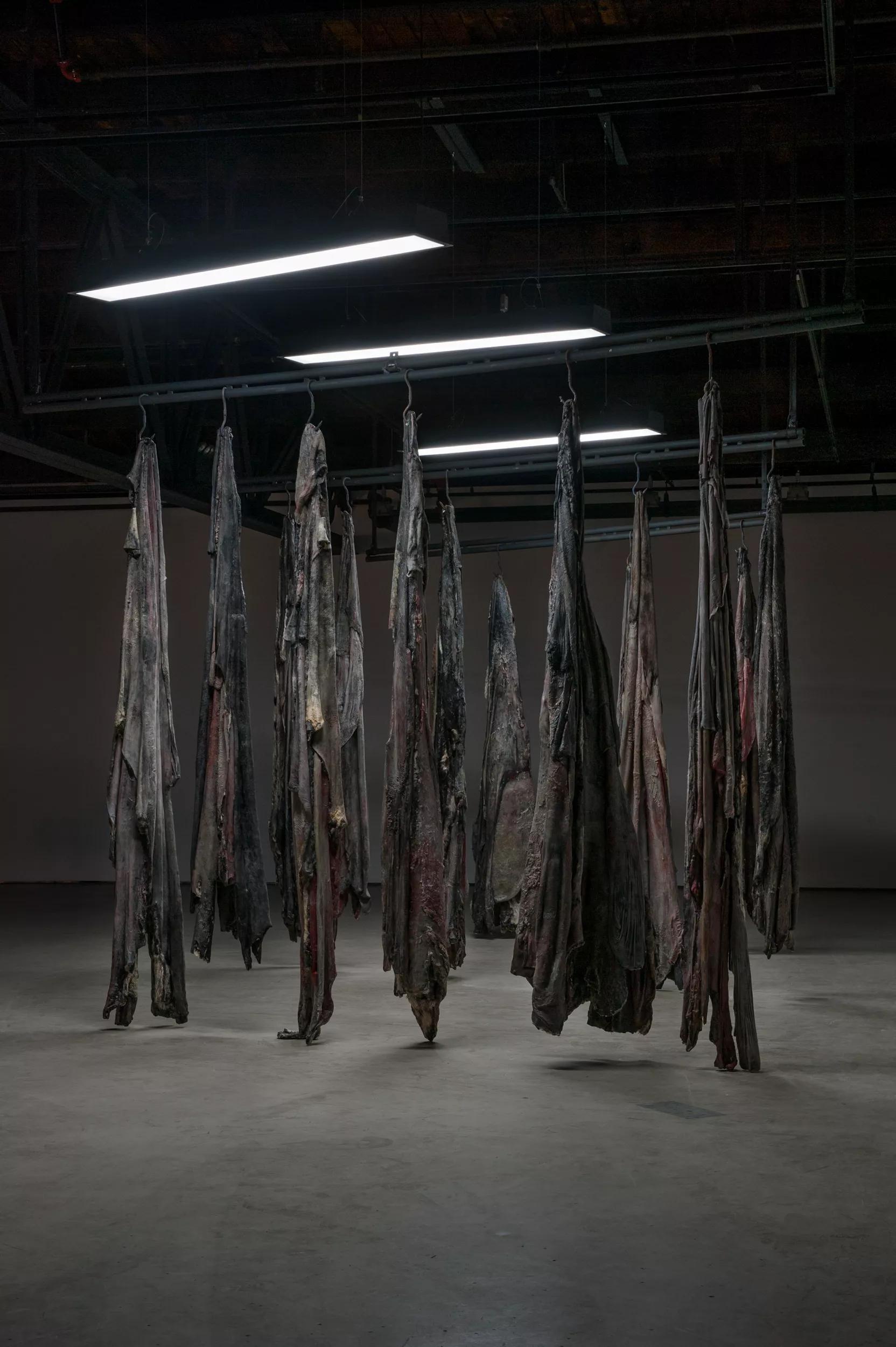 Image for exhibition 