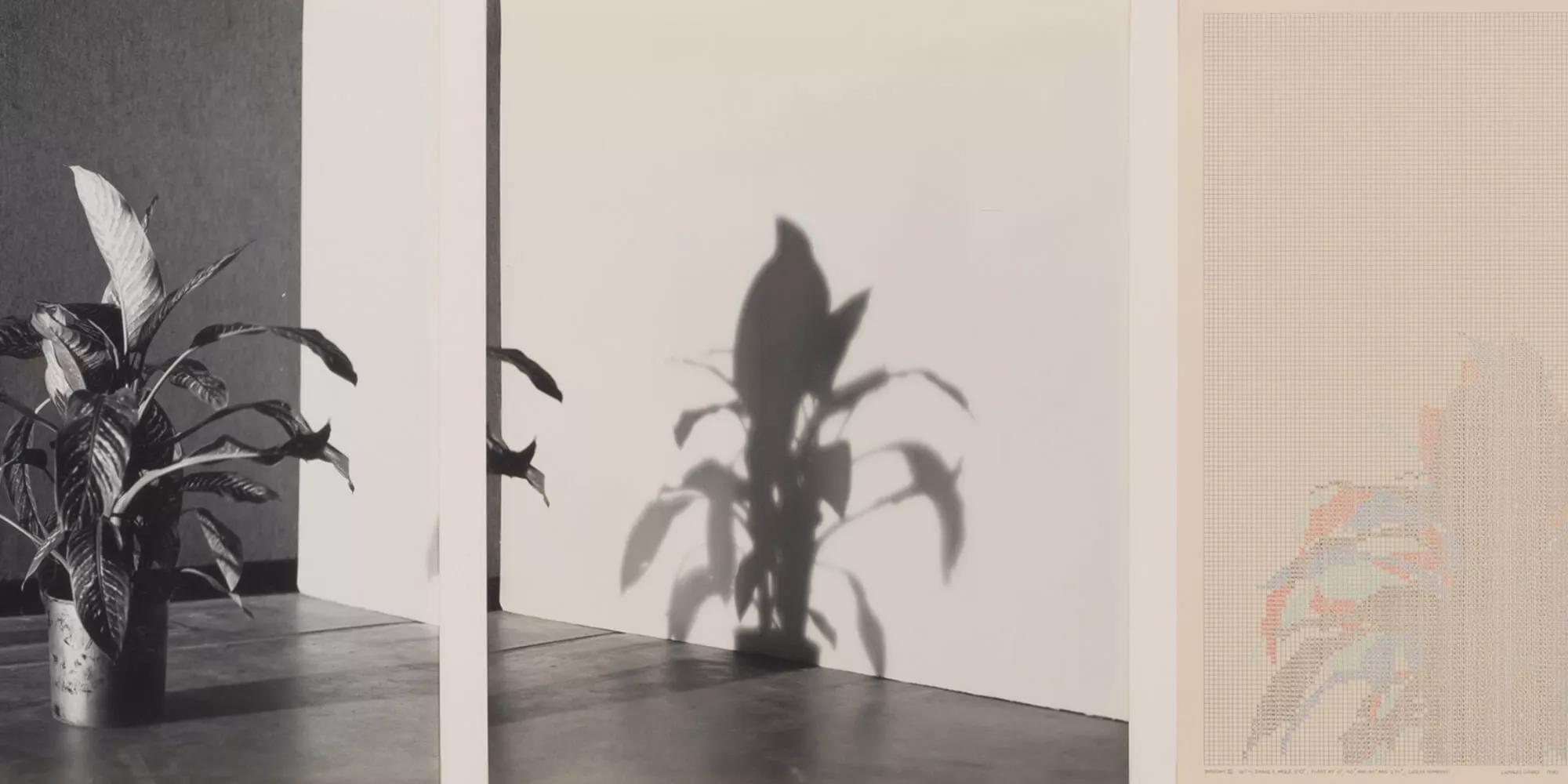 Hero image for exhibition titled Charles Gaines