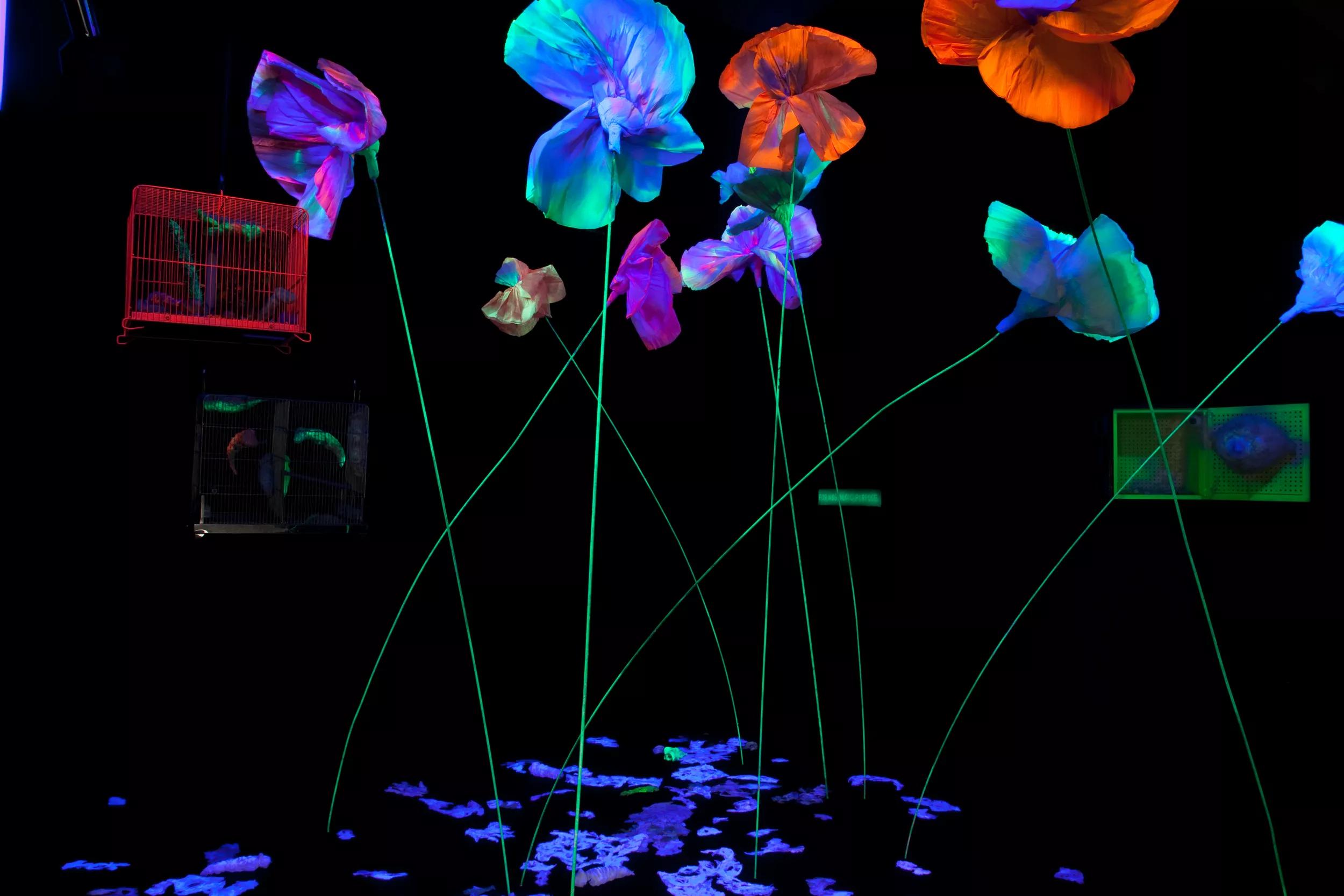 Image for exhibition 