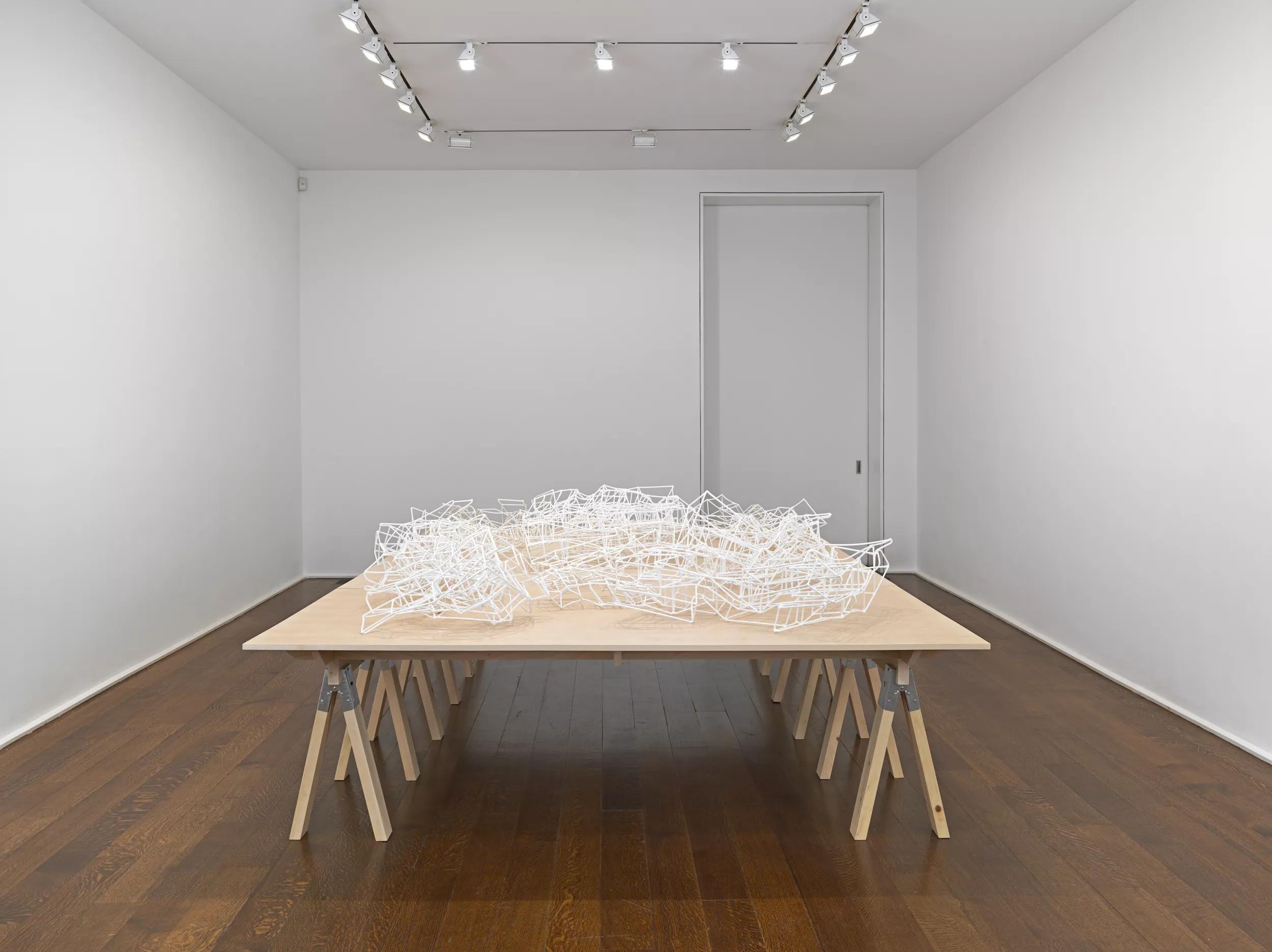 Image for Rachel Khedoori