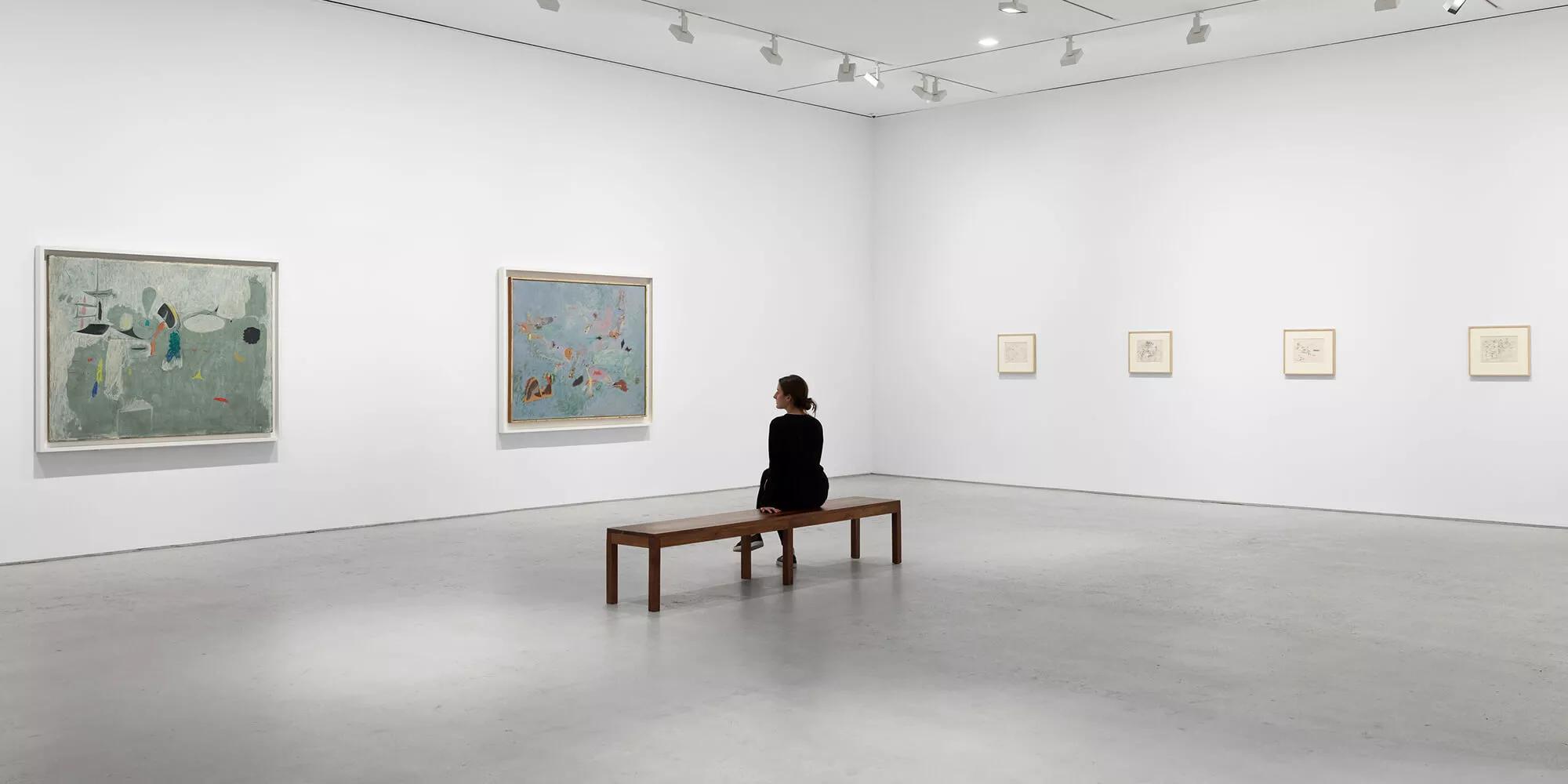 Hero image for exhibition titled Arshile Gorky