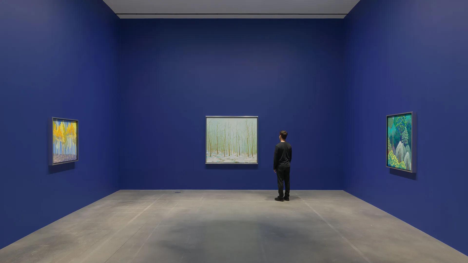 Installation view image for Installation Views