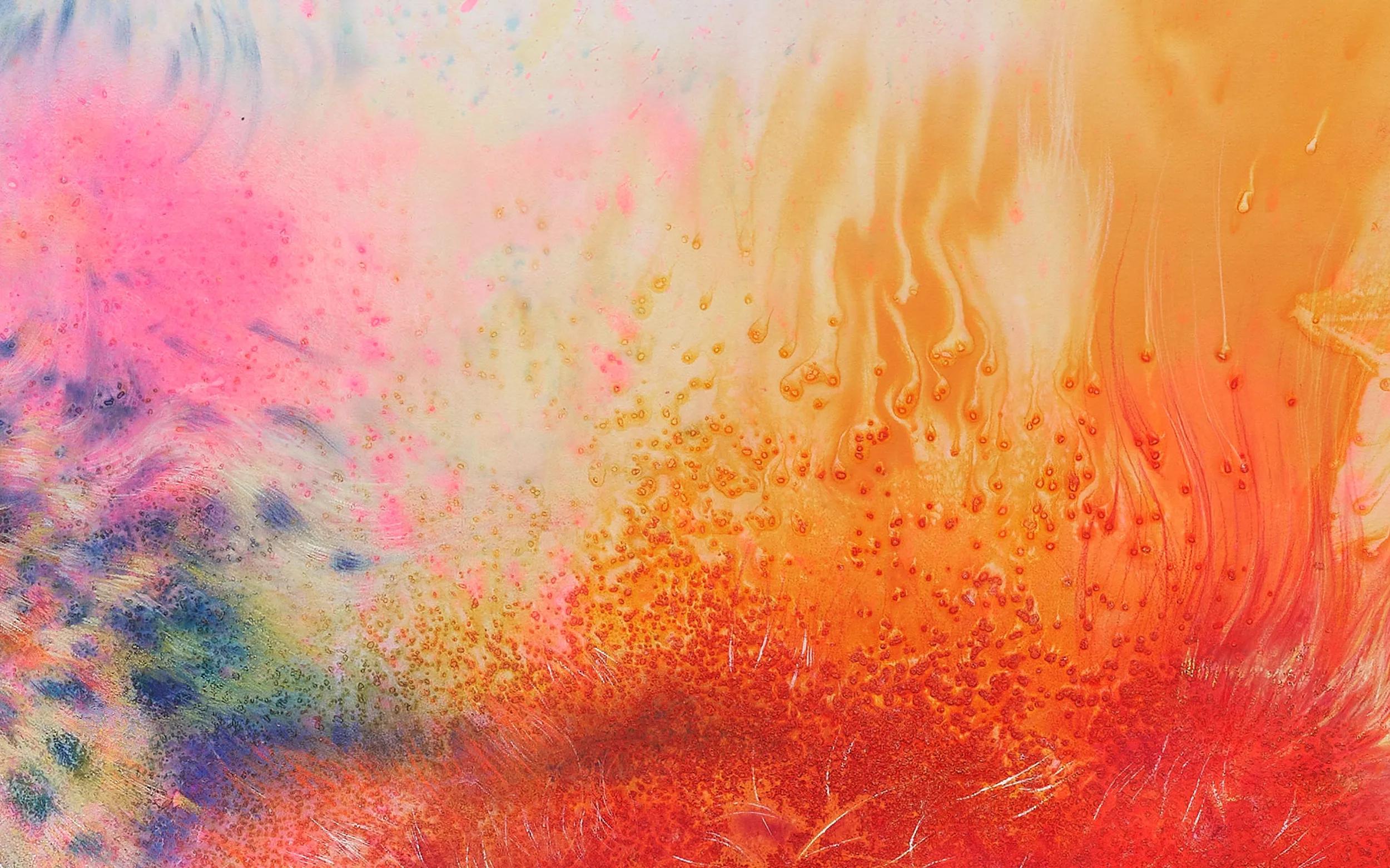 Image for exhibition 