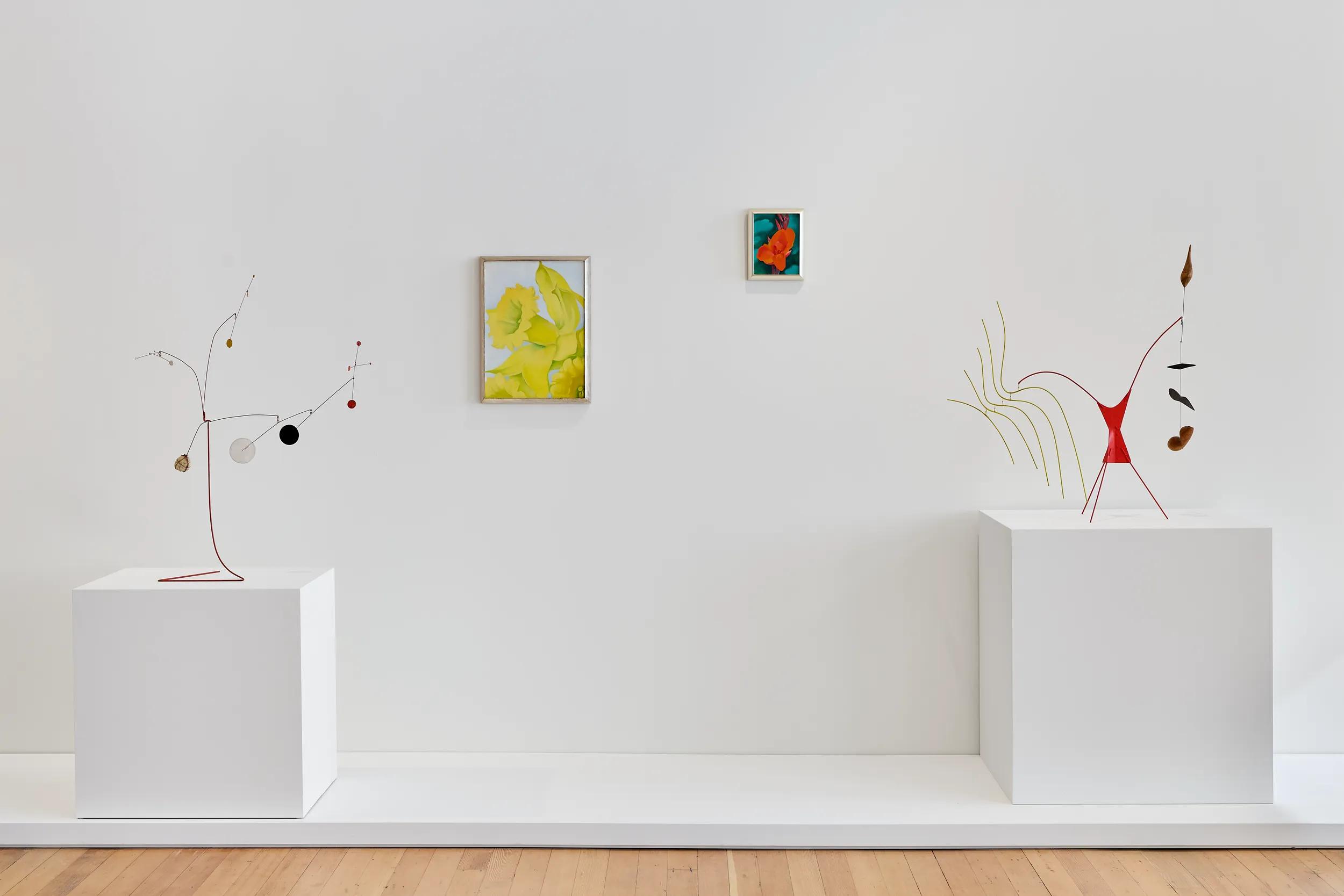 Installation view image for INSTALLATION VIEWS