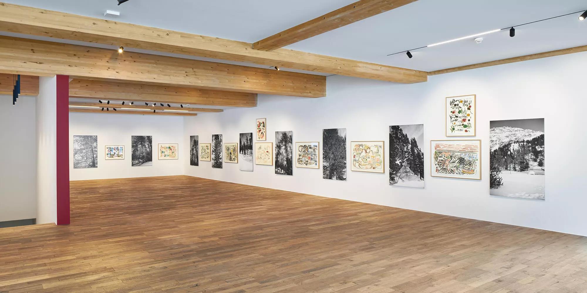 Hero image for exhibition titled Günther Förg
