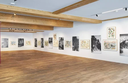 Thumbnail image for exhibition titled Günther Förg