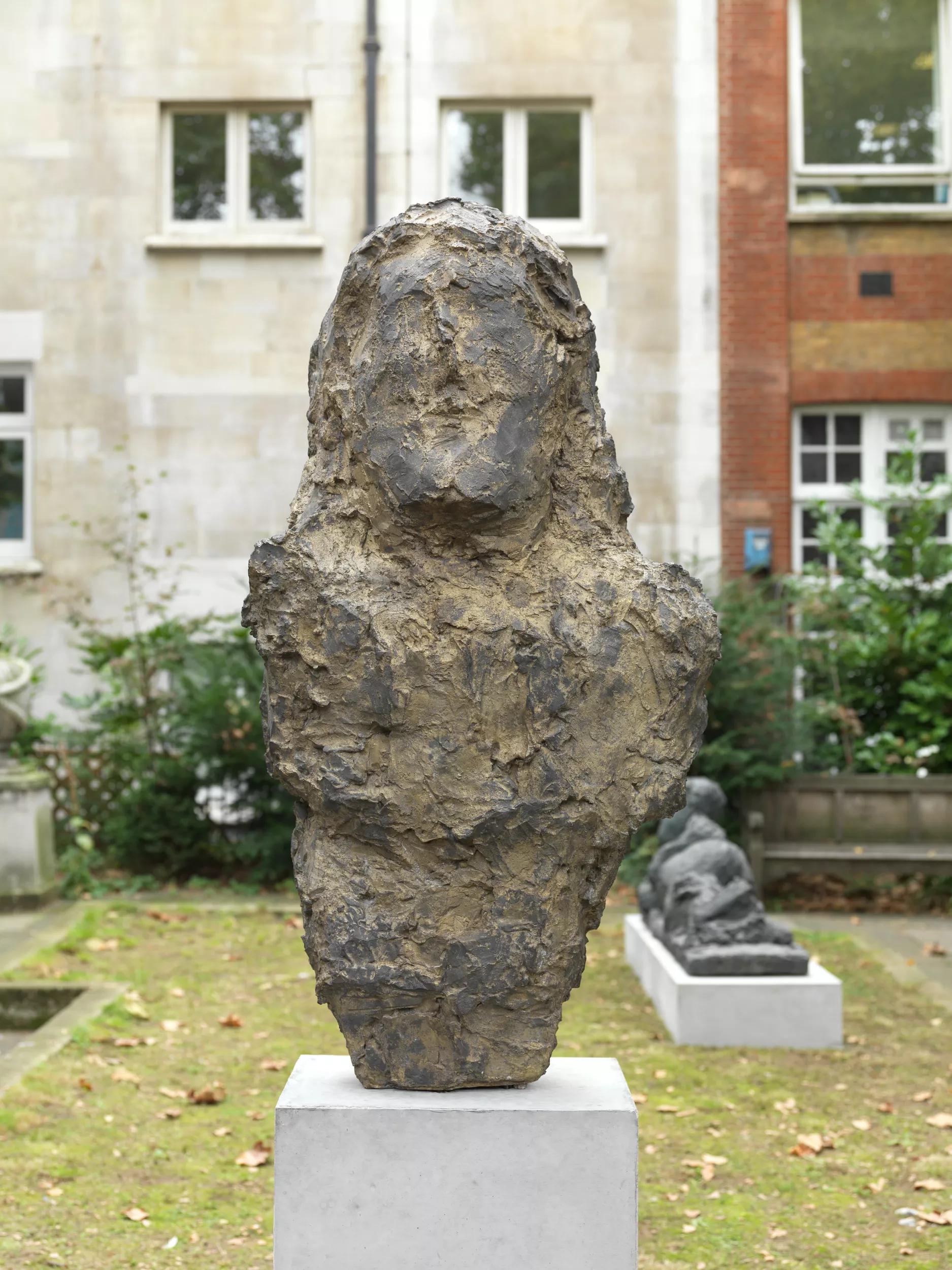 Image for Josephsohn