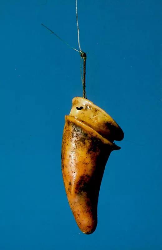 Image for exhibition 