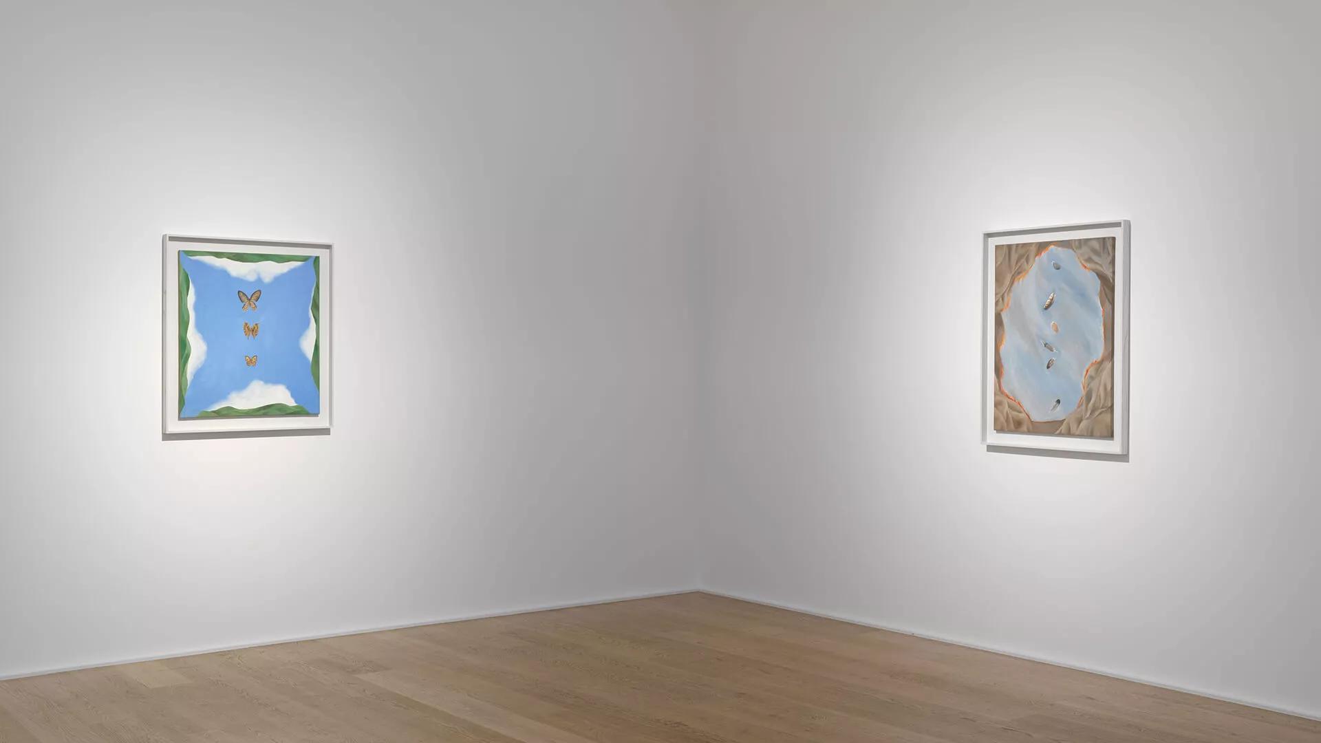 Image for exhibition 