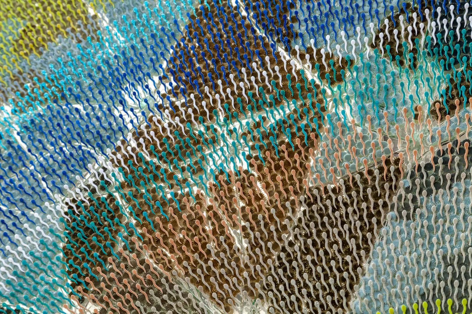 Thumbnail image for exhibition titled Algorithm for hiding