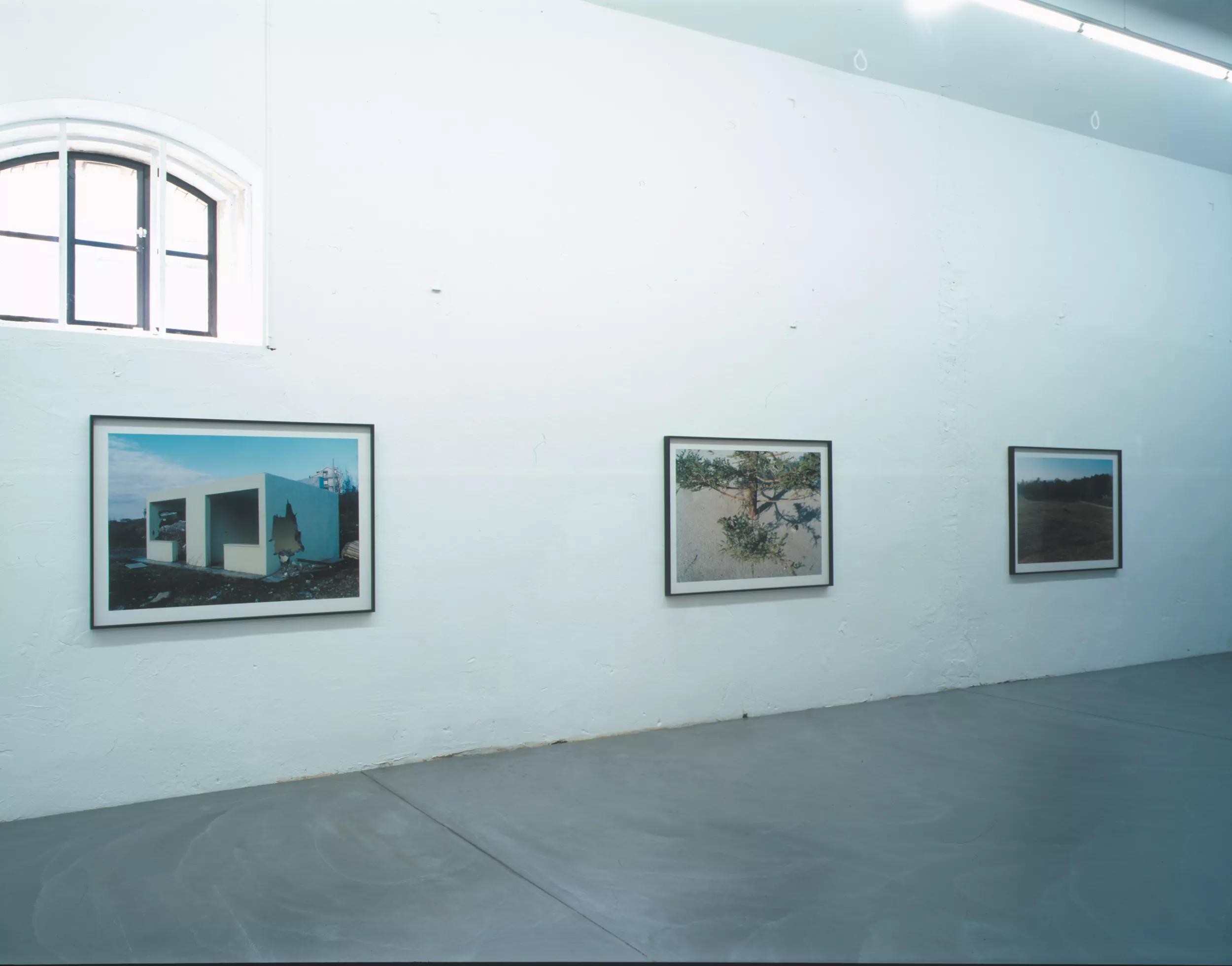 Image for Anri Sala