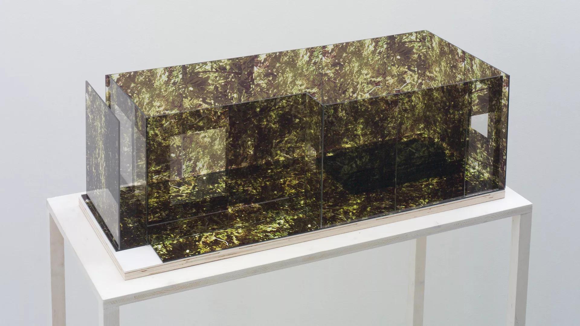 Hero image for exhibition titled Rachel Khedoori