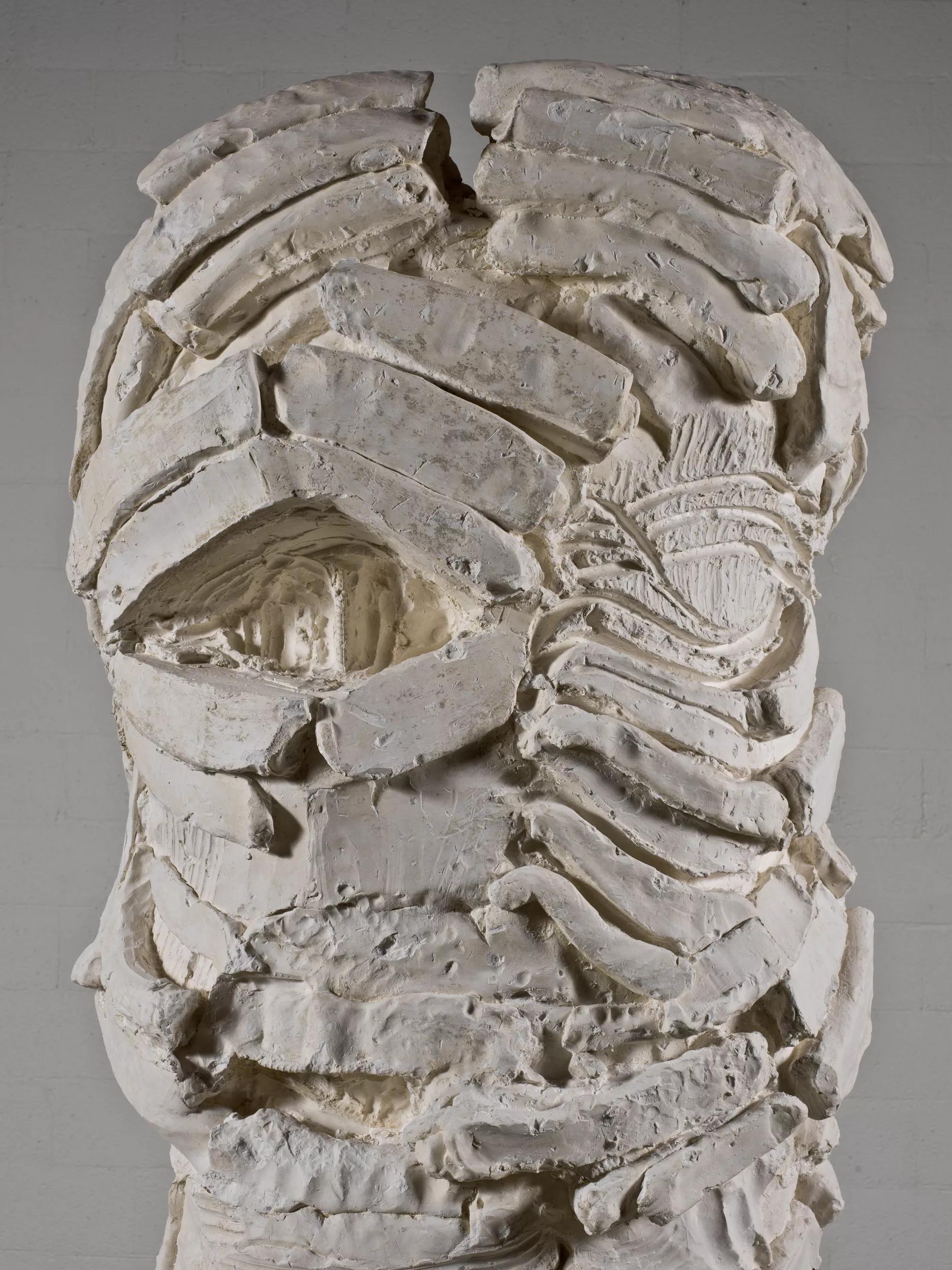 Image for exhibition 