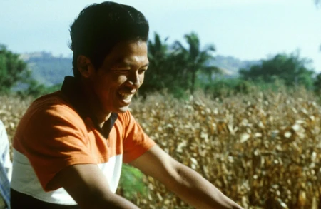 Thumbnail image for event called Artist’s Choice Summer Film Series: ‘Tropical Malady’, selected by Lorna Simpson