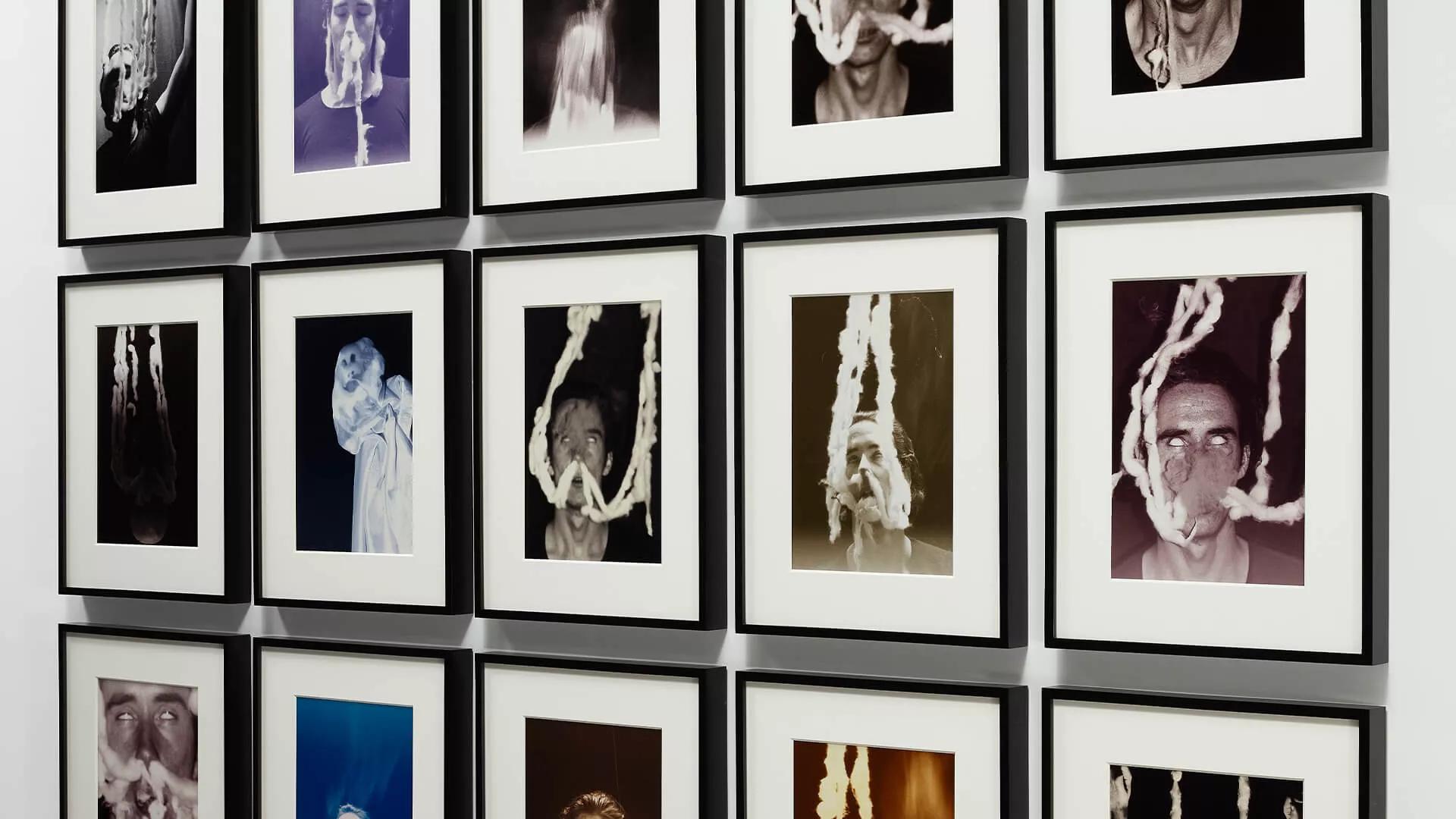 Image for exhibition 