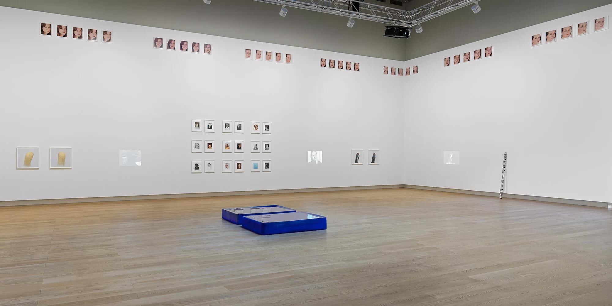 Hero image for exhibition titled Roni Horn