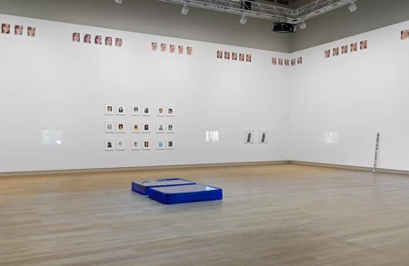 Thumbnail image for exhibition titled Roni Horn