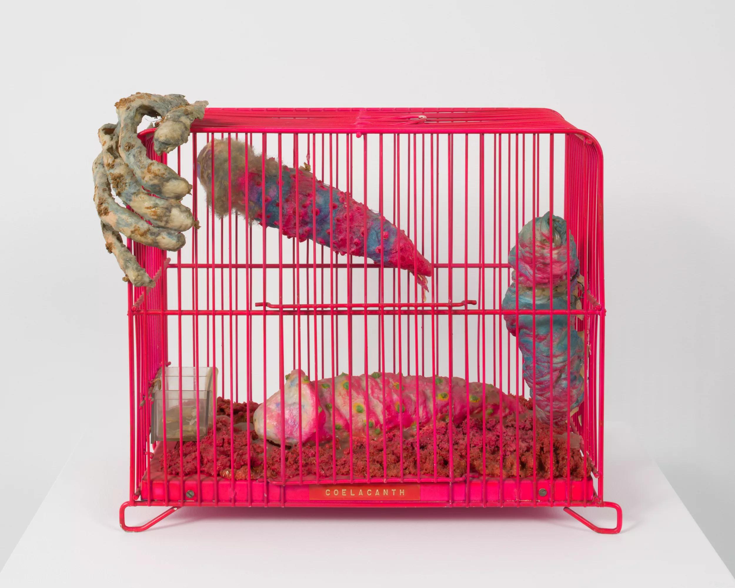 Image for exhibition 
