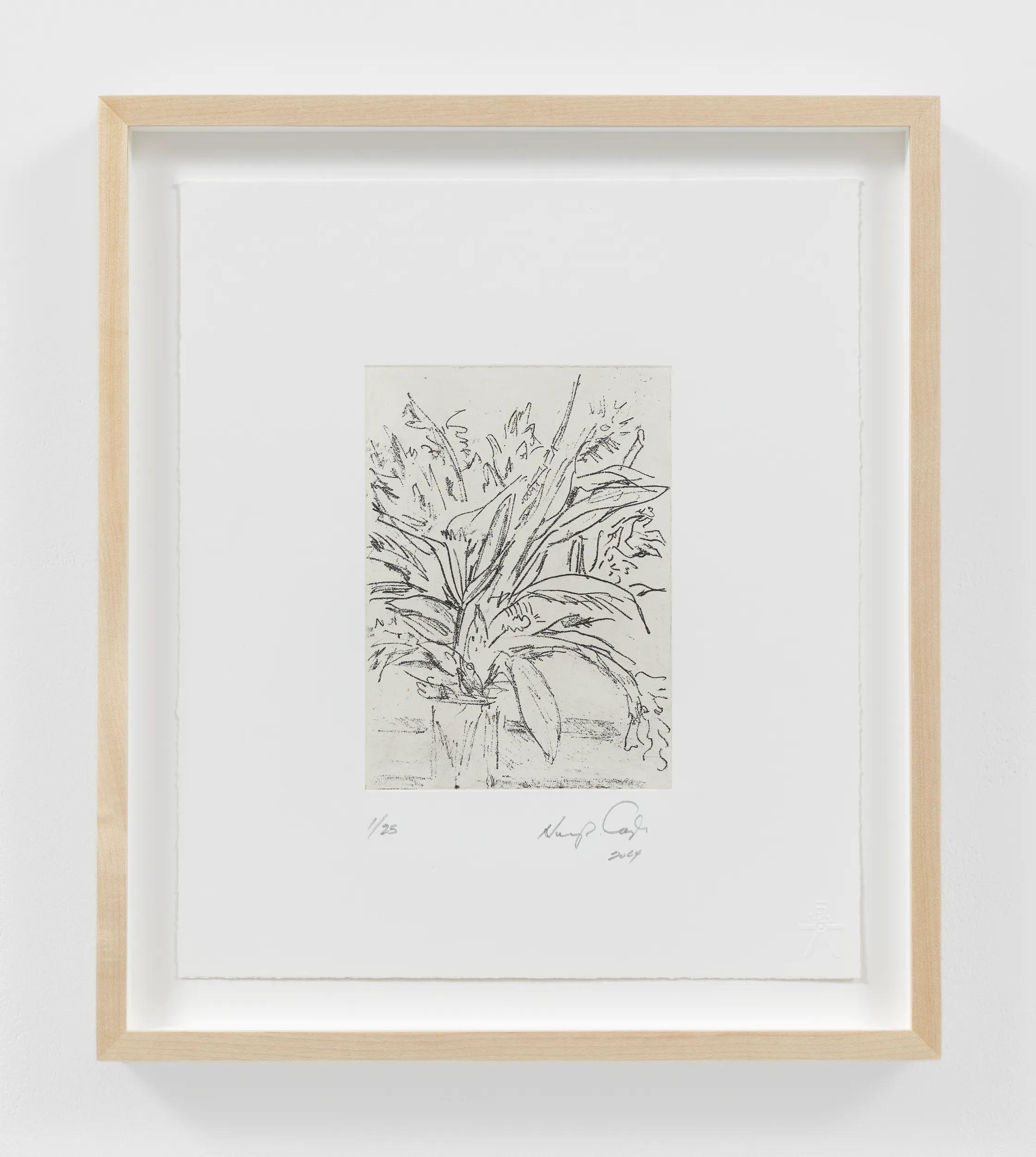 Image for exhibition titled Henry Taylor