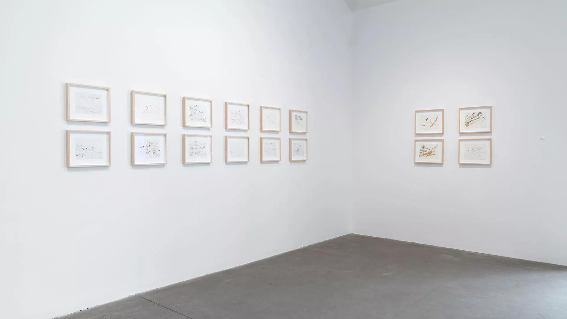 Image for exhibition 