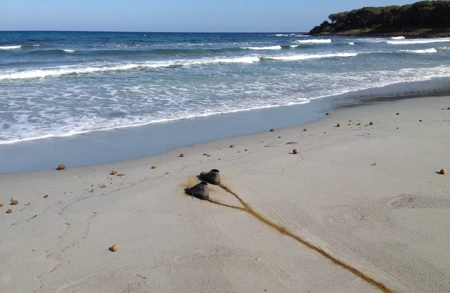 Thumbnail image for news titled Roman Signer at Museo d'Arte Provincia di Nuoro reviewed by Frieze