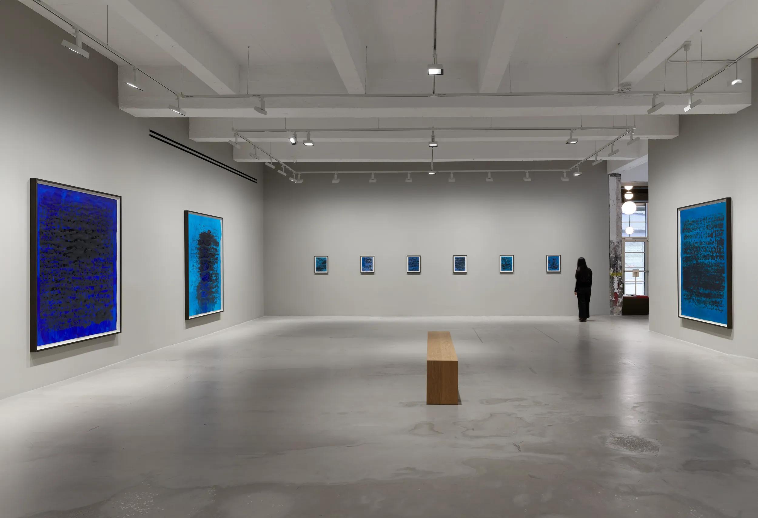 Installation view image for Installation views