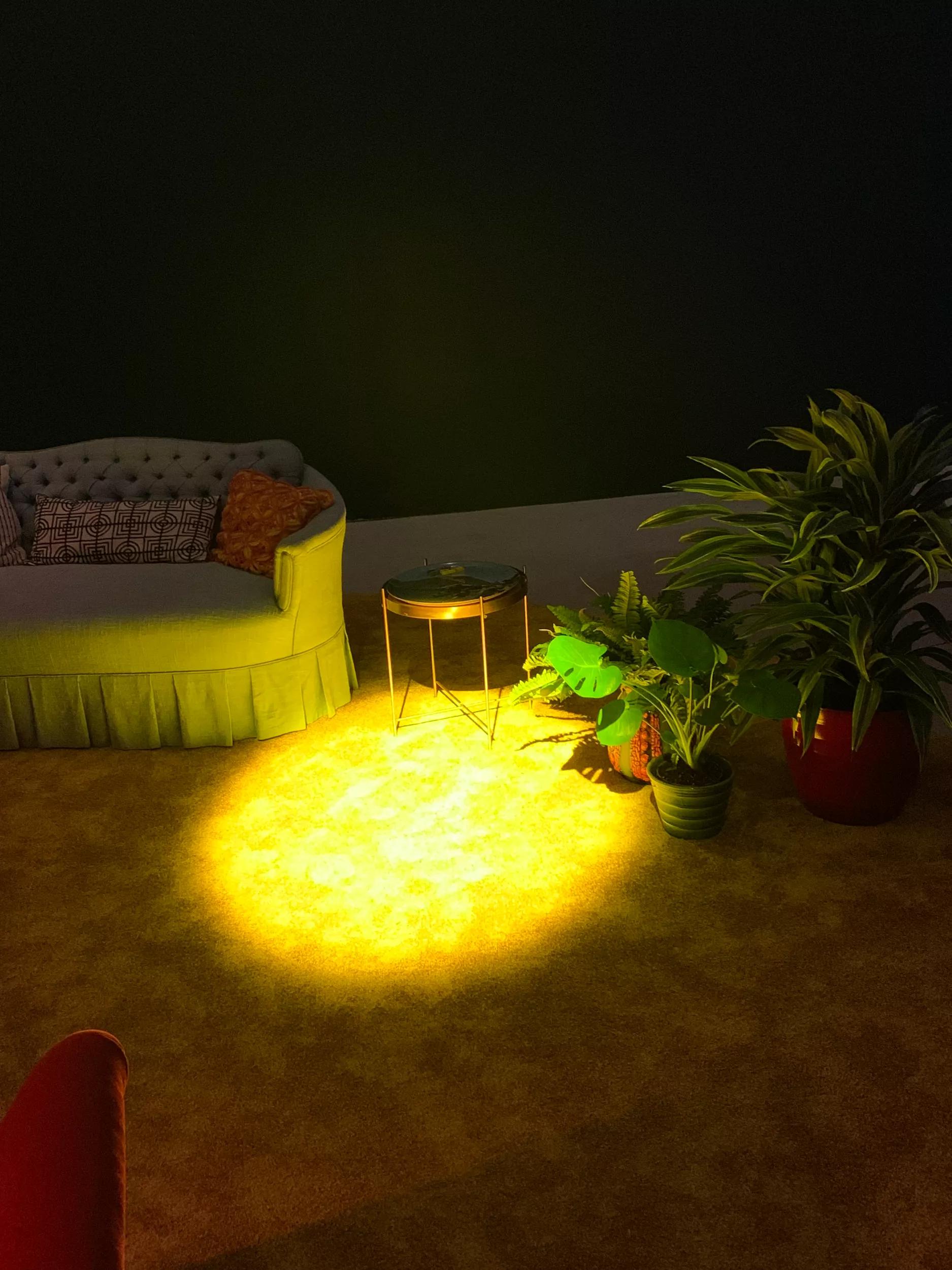 Image for exhibition titled Pipilotti Rist
