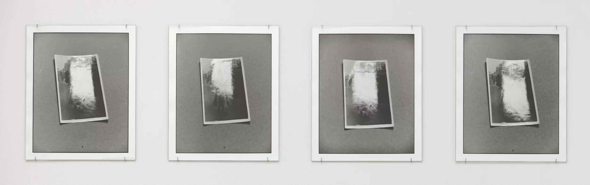 Image for Zoe Leonard