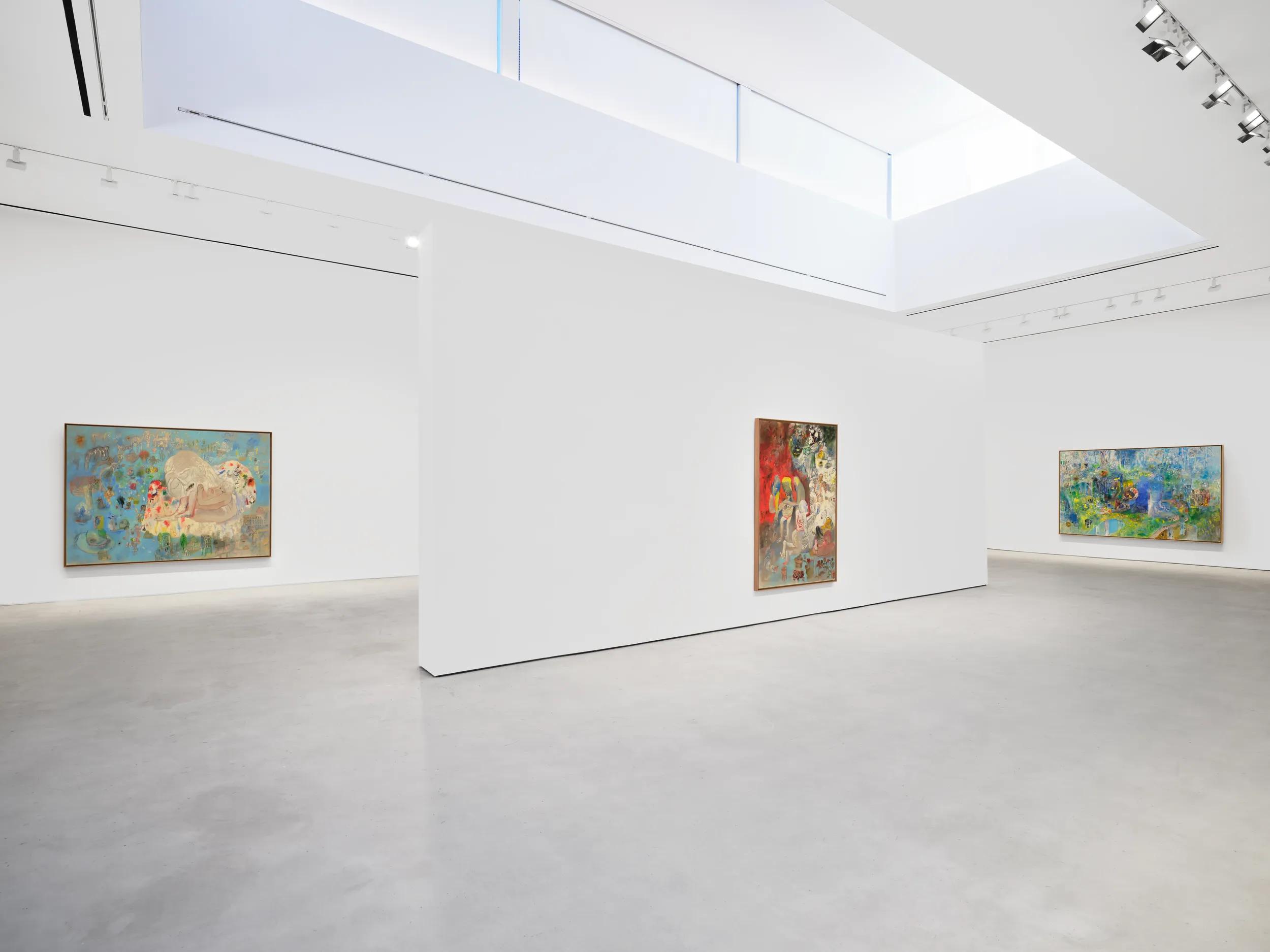 Installation view image for INSTALLATION VIEWS